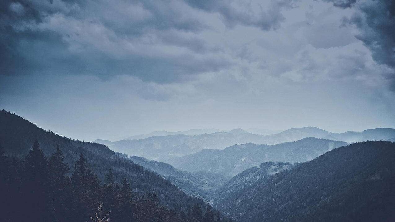 网红商城